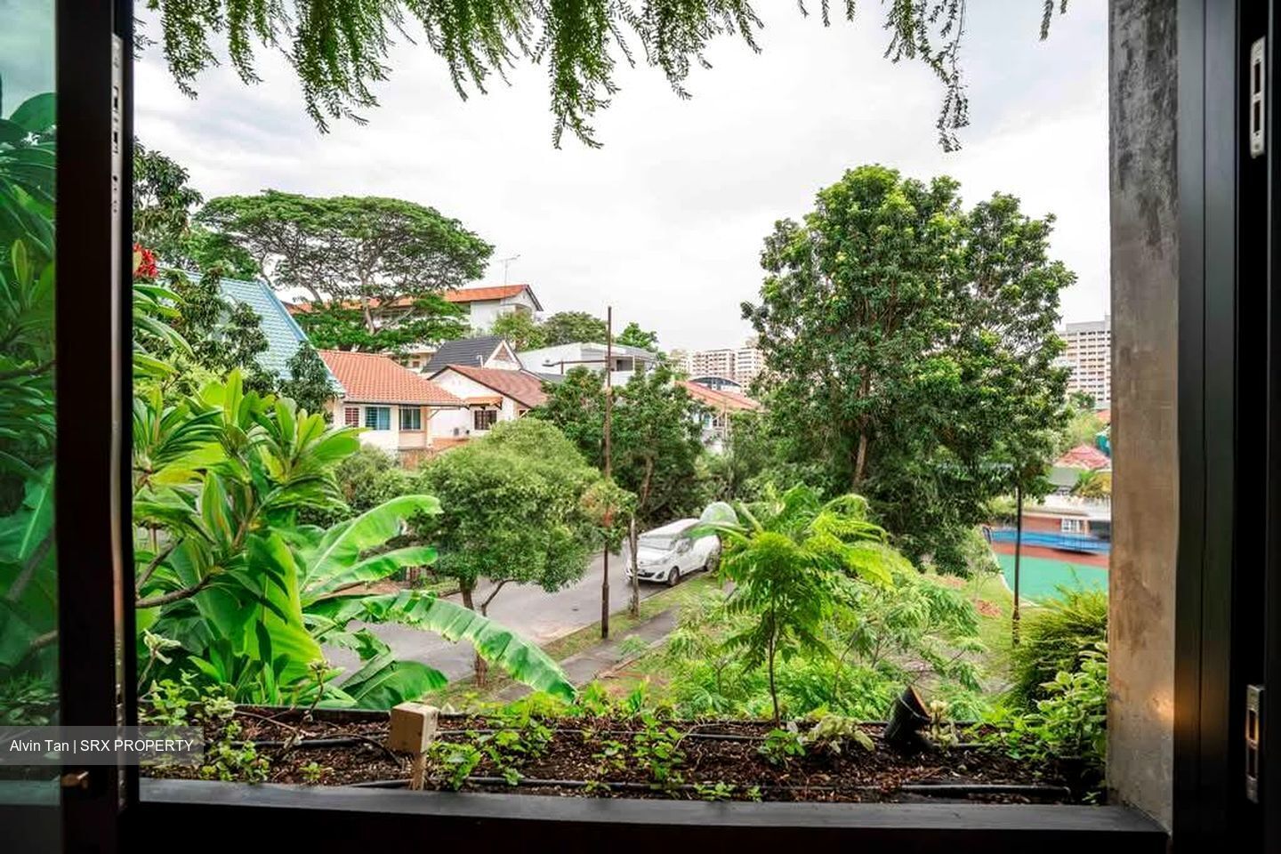Opera Estate (D15), Terrace #540372551